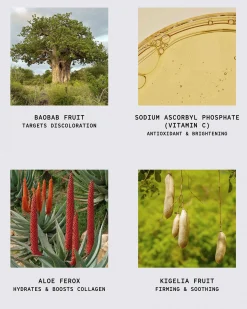 African Botanics Baobab Clay Oxygenating Cleanser