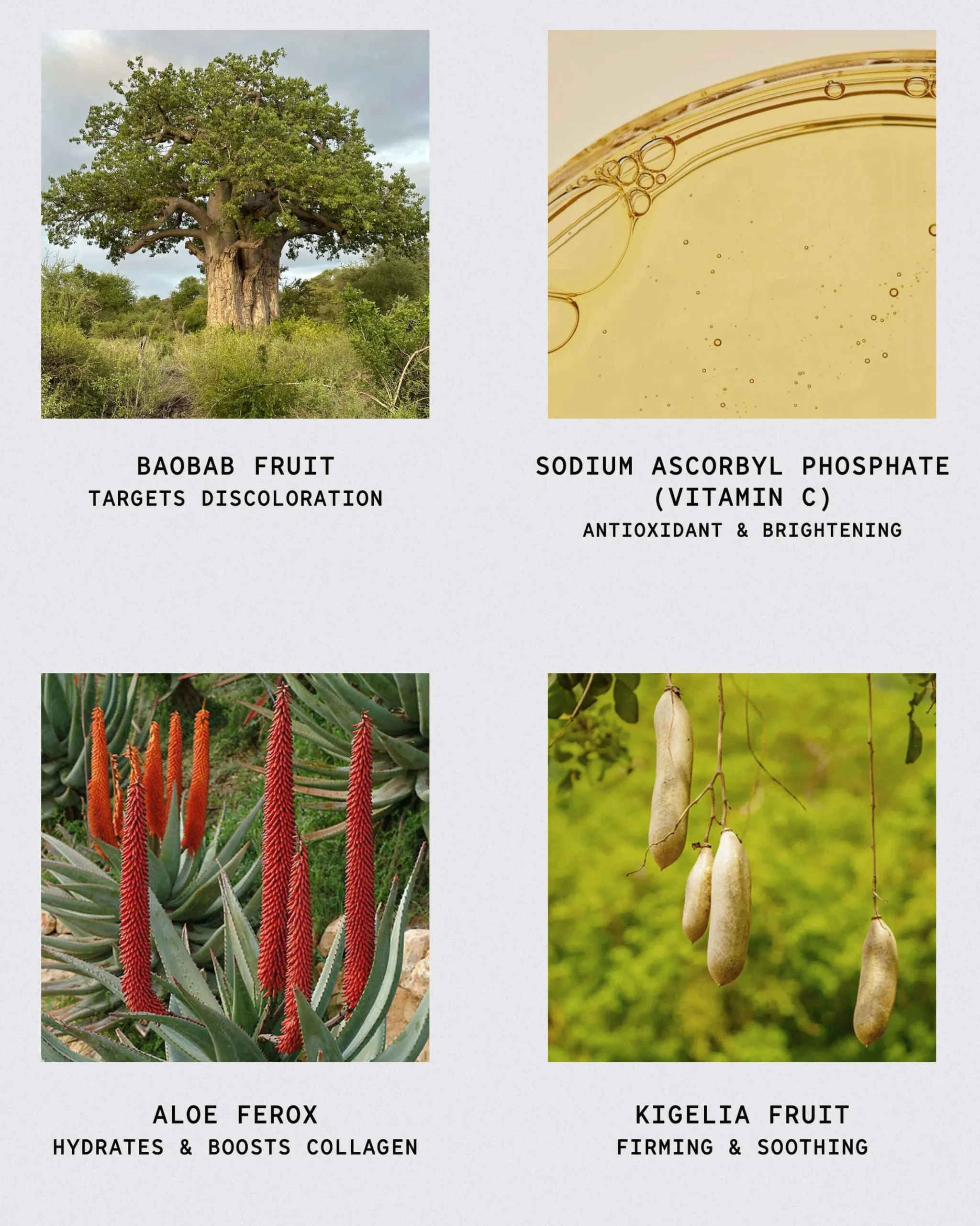 African Botanics Baobab Clay Oxygenating Cleanser