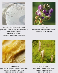 African Botanics Phyto-Collagen Restorative Cream