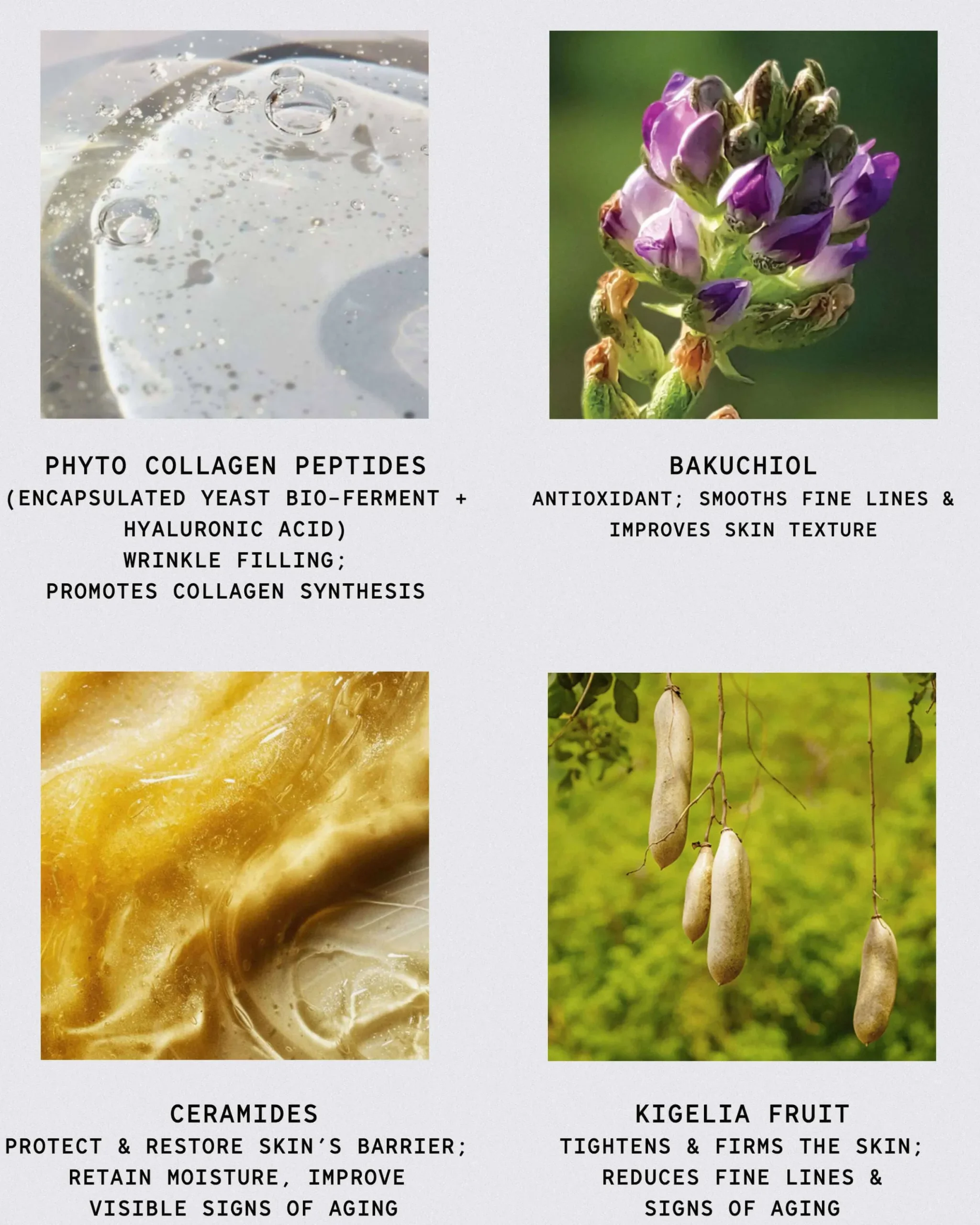 African Botanics Phyto-Collagen Restorative Cream