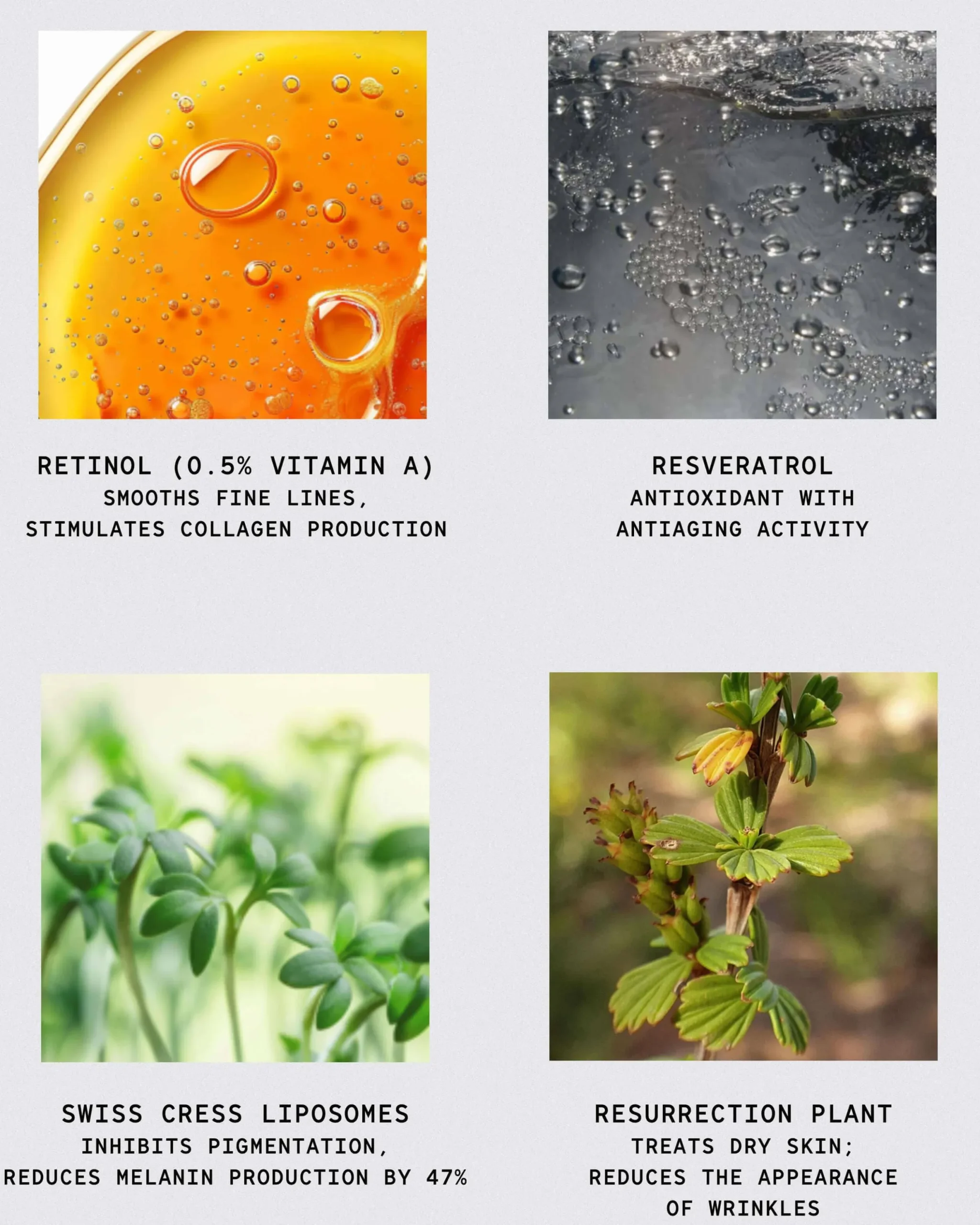 African Botanics Resurrection Cell Recovery Serum