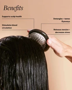 Arey Scalp Renewal Duo
