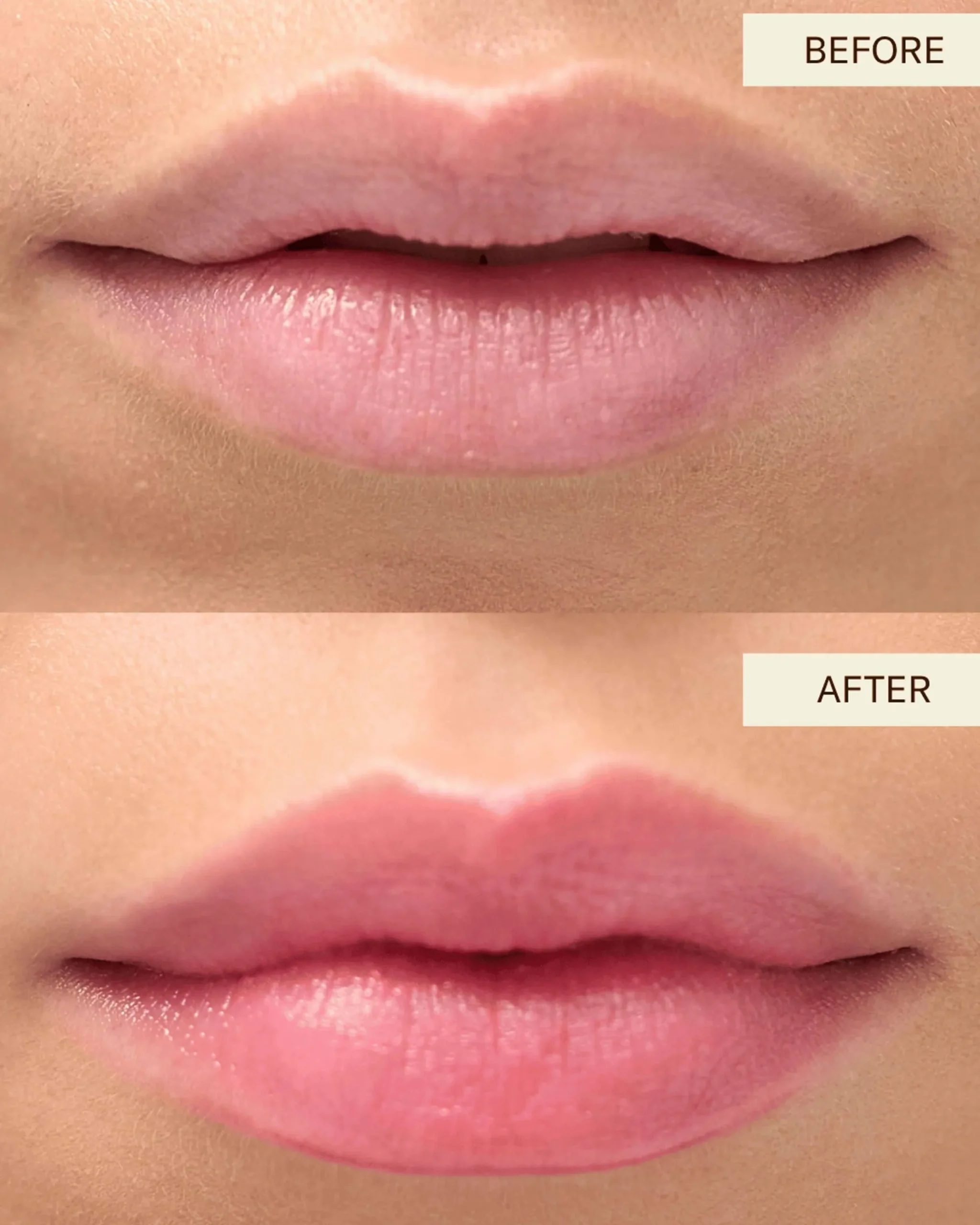 Barely There Sheer Hydrating Marula Oil Lipstick
