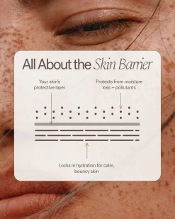 Barrier Build Skin Protectant Cream