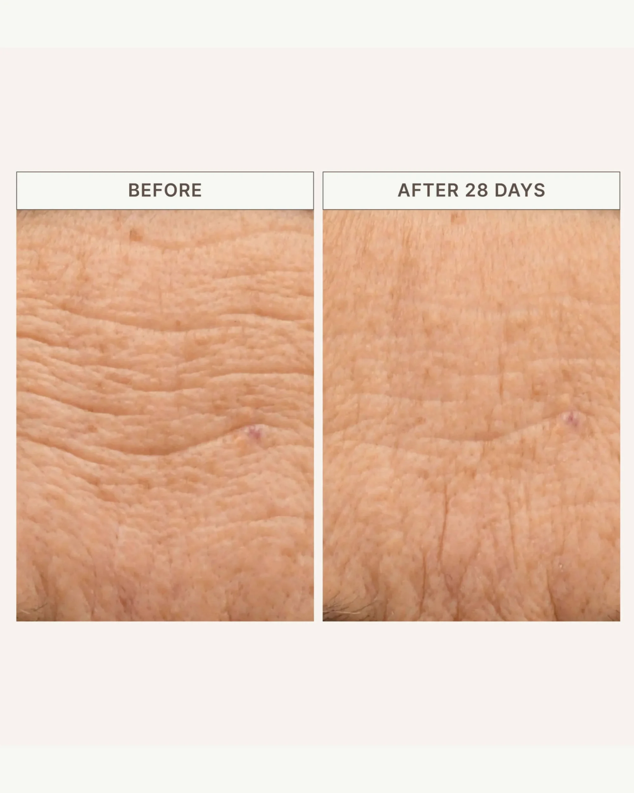 Barrier Build Skin Protectant Cream