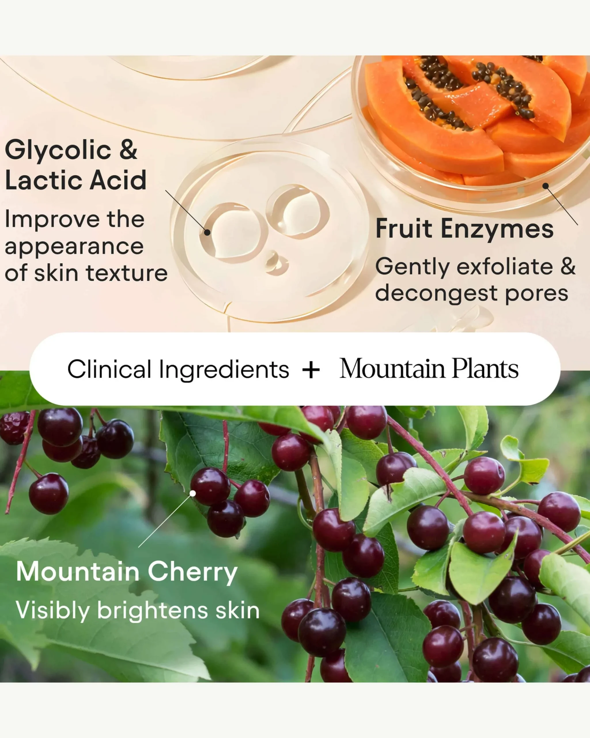 Brightening Bubbling Cleanser with AHA's & Fruit Enzymes