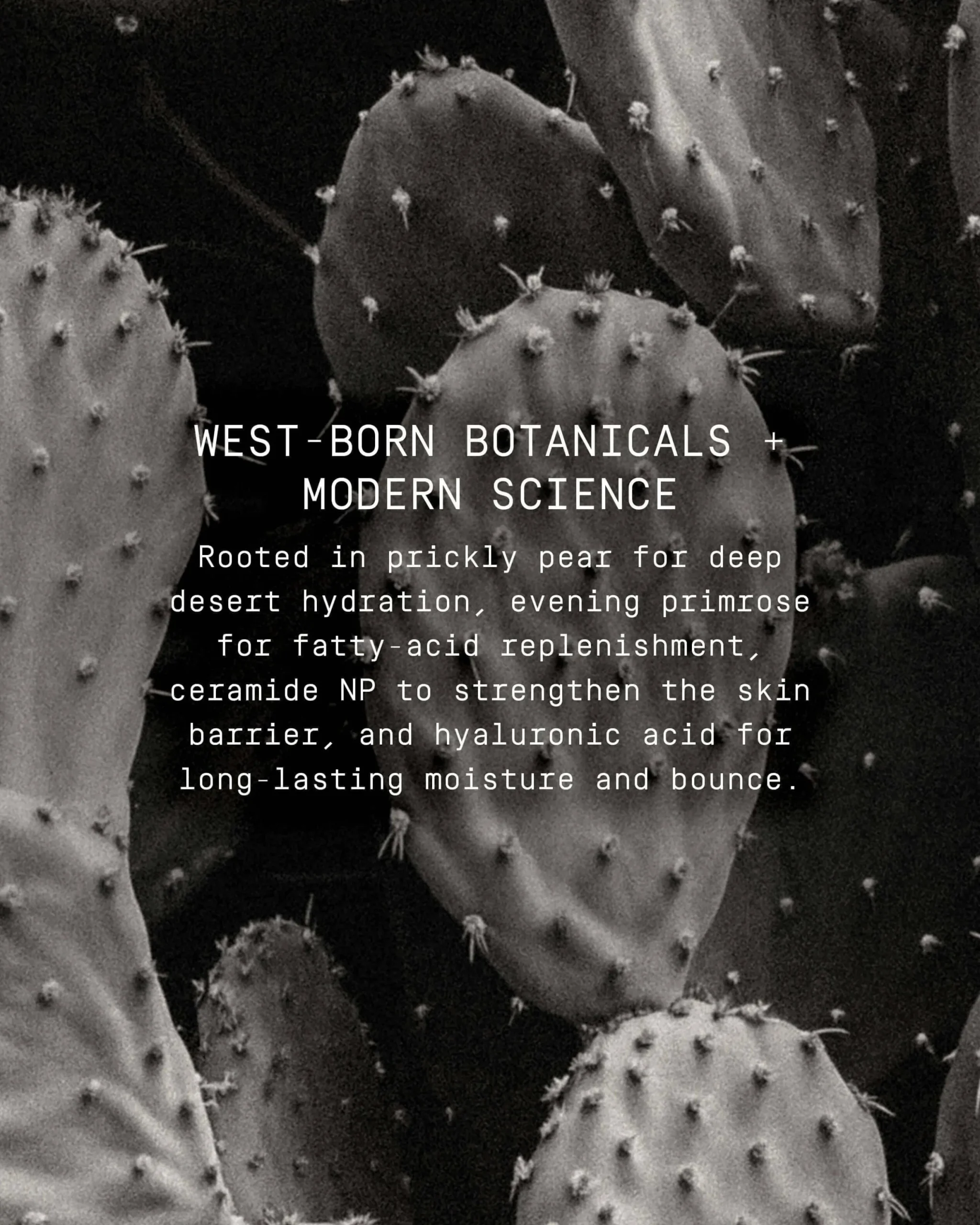 Cactus Silk Prickly Pear Barrier-Boosting Oil + Serum Skin Finish