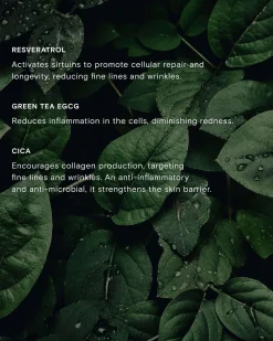 Calm Revival Green Tea Resveratrol Power Serum