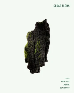 Cedar Flora Deodorant