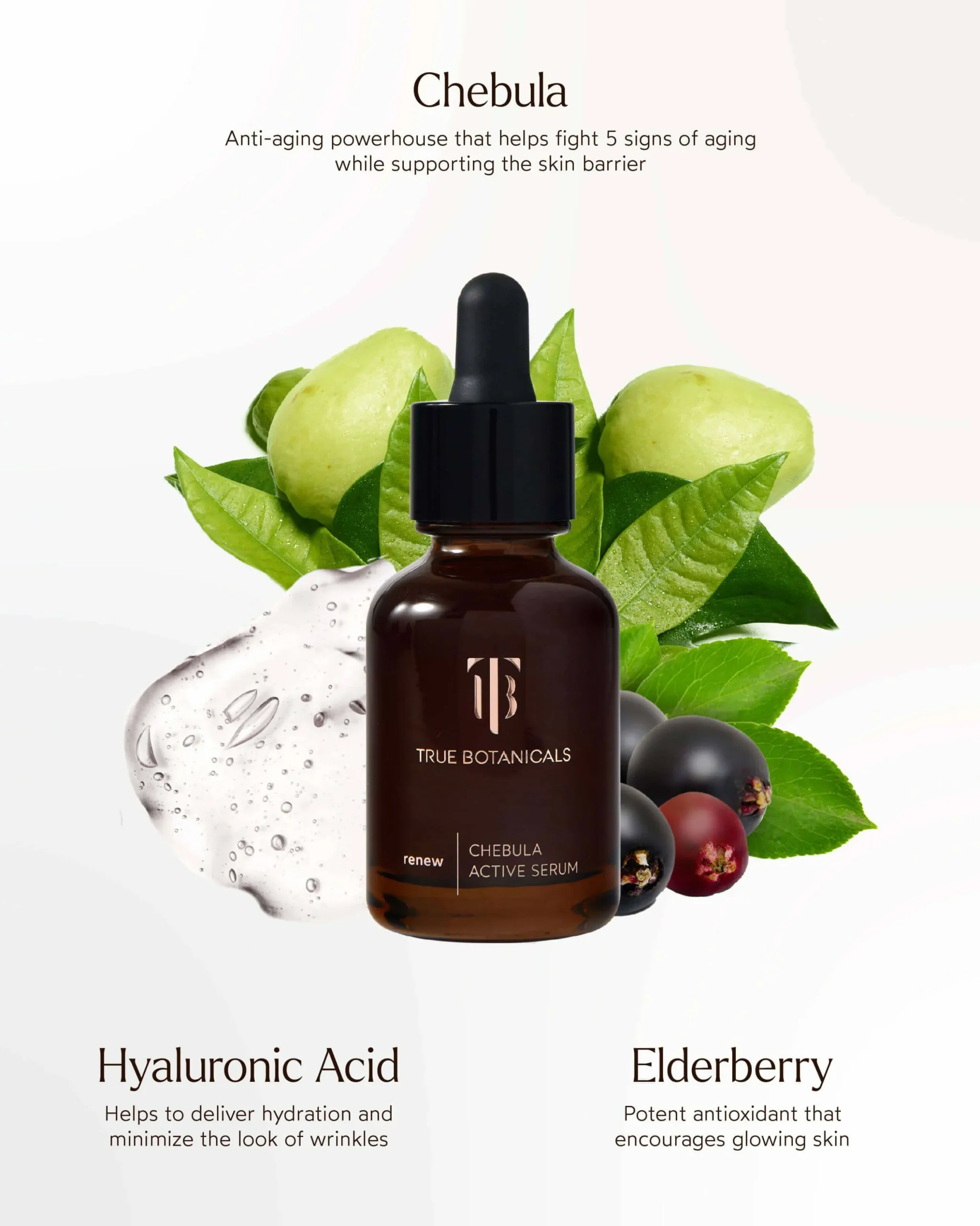 Chebula Active Anti-Aging Serum