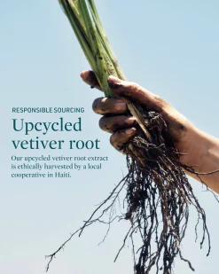 Deep Thirst Vetiver Root + Babassu Cleanser for Dry Skin