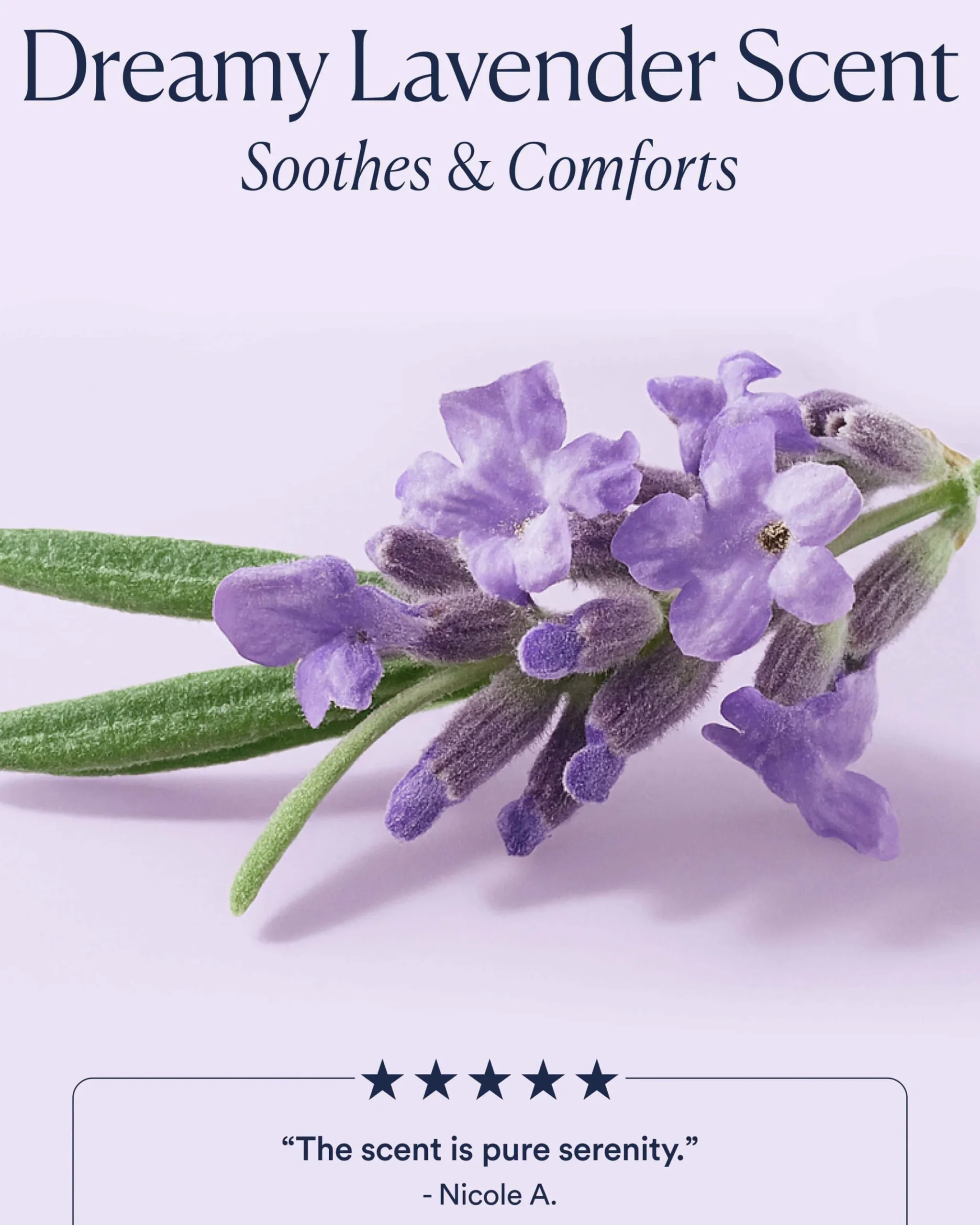 Dream Night Serum with Bio-Retinol