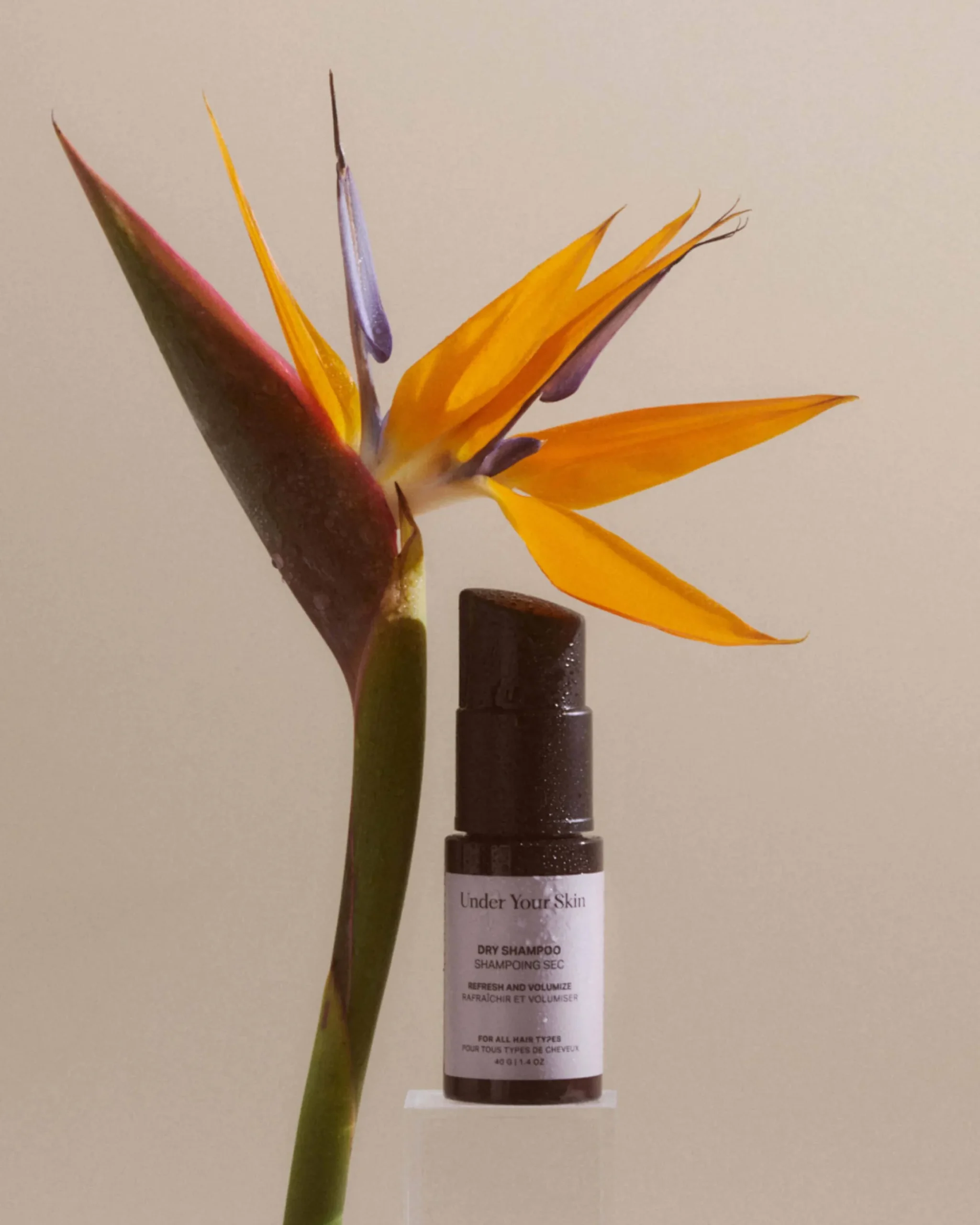 Dry Shampoo (UYS)