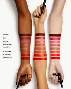 Enchanted Lip Sheer