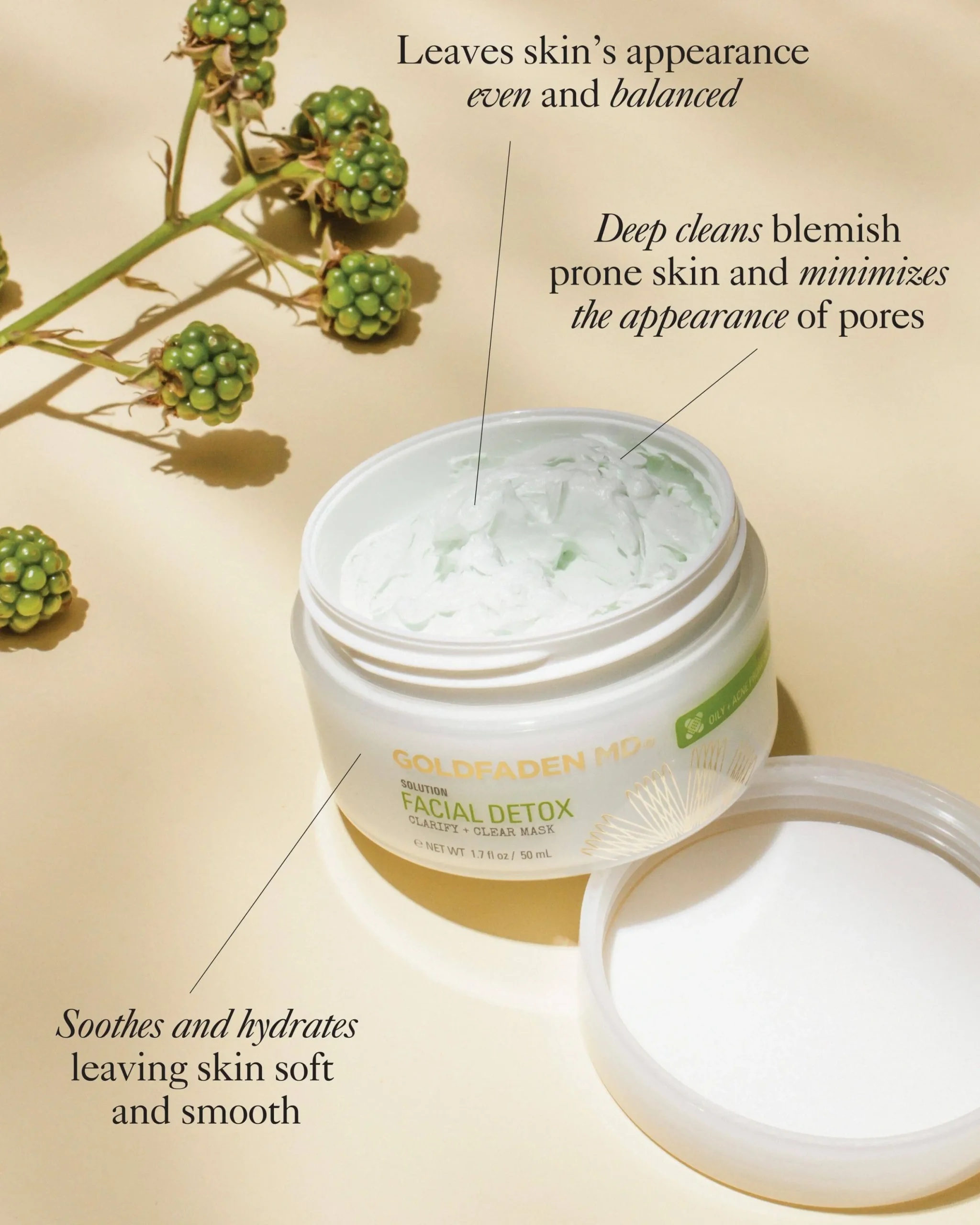 Facial Detox Pore Clarifying Mask