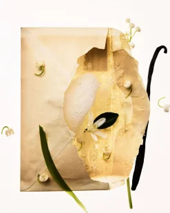 Frisson D'Hiver Eau de Parfum