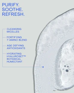 Gentle Micellar Antioxidant Cleanser