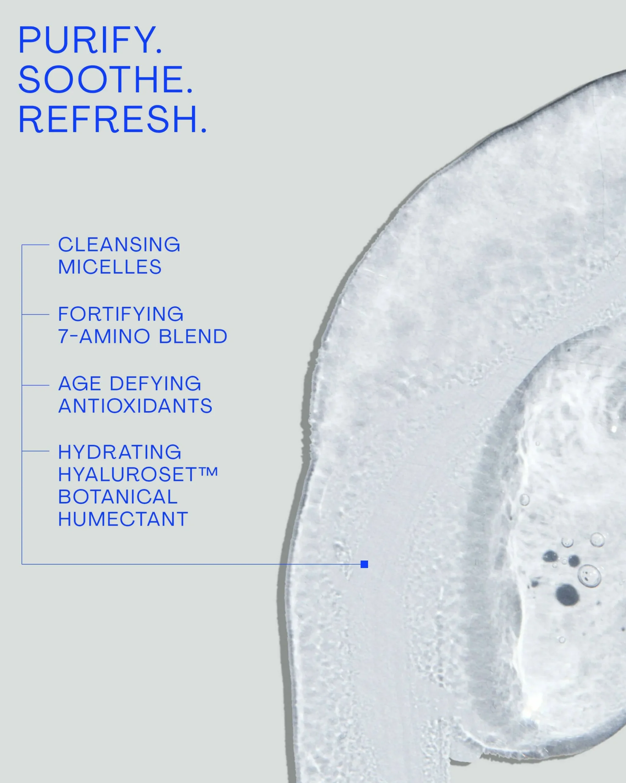 Gentle Micellar Antioxidant Cleanser