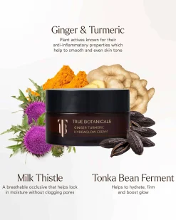 Ginger Turmeric HydraGlow Cream