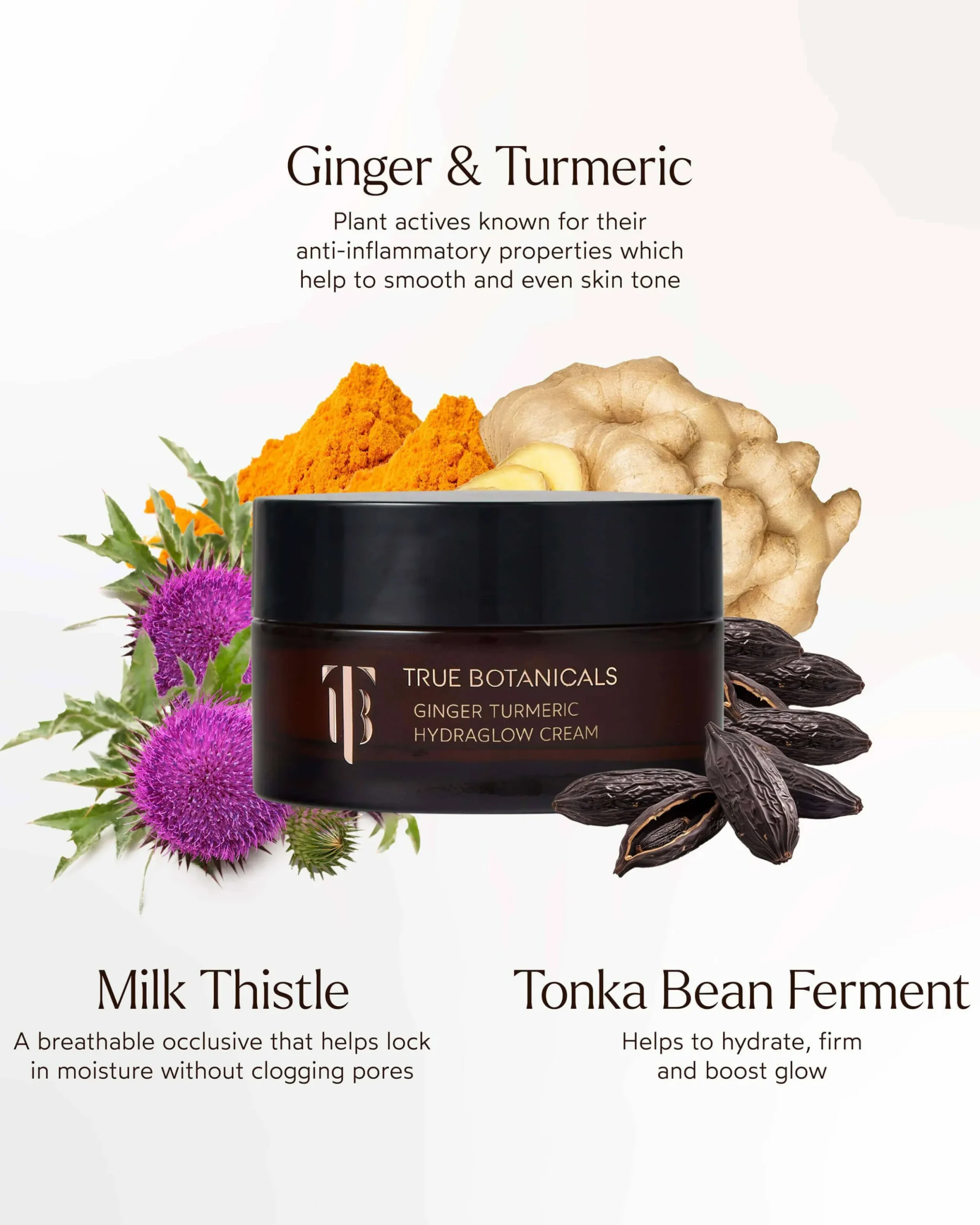 Ginger Turmeric HydraGlow Cream