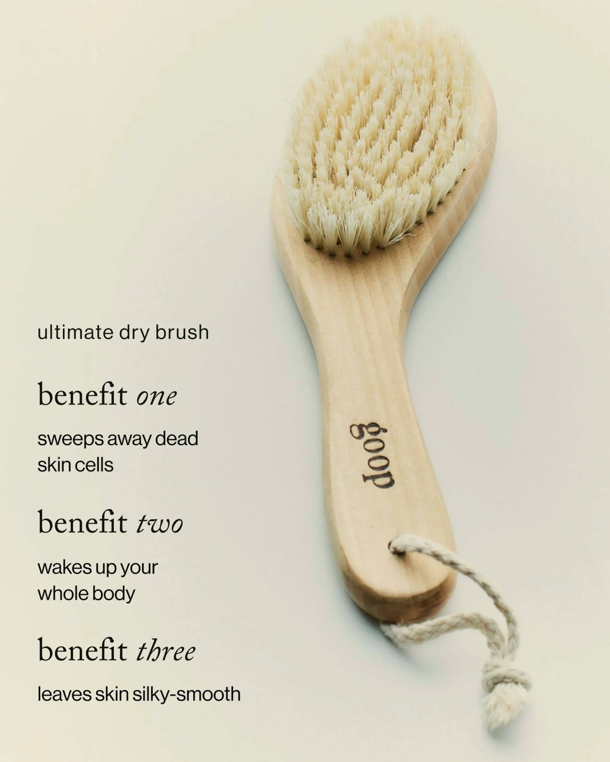 G.Tox Ultimate Dry Brush