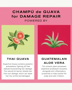 Guava Shampoo for Color Treated Hair and Damage Repair