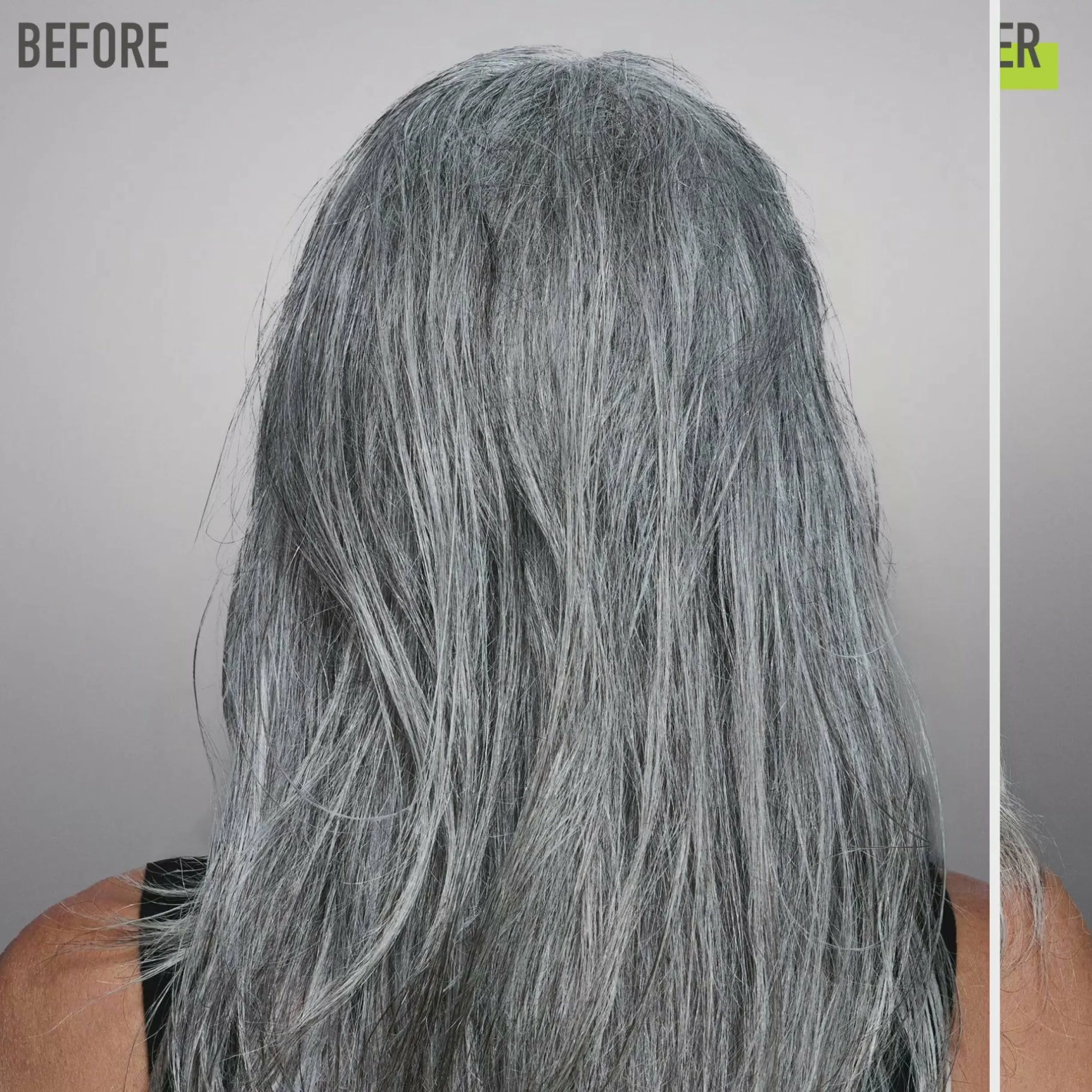 Holistic Benefits Leave-In Hair Serum