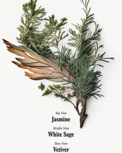 24 Hour Serum