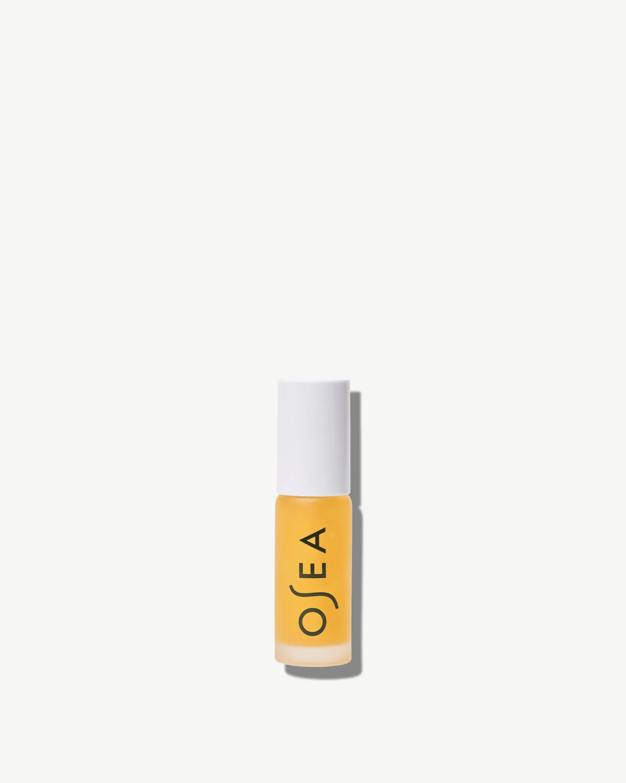 Hyaluronic Acid Lip Booster