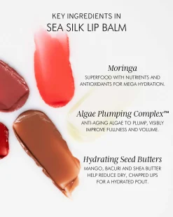 Hydrating Sea Silk Lip Balm Treatment for Anti-Aging and Lip Wrinkles