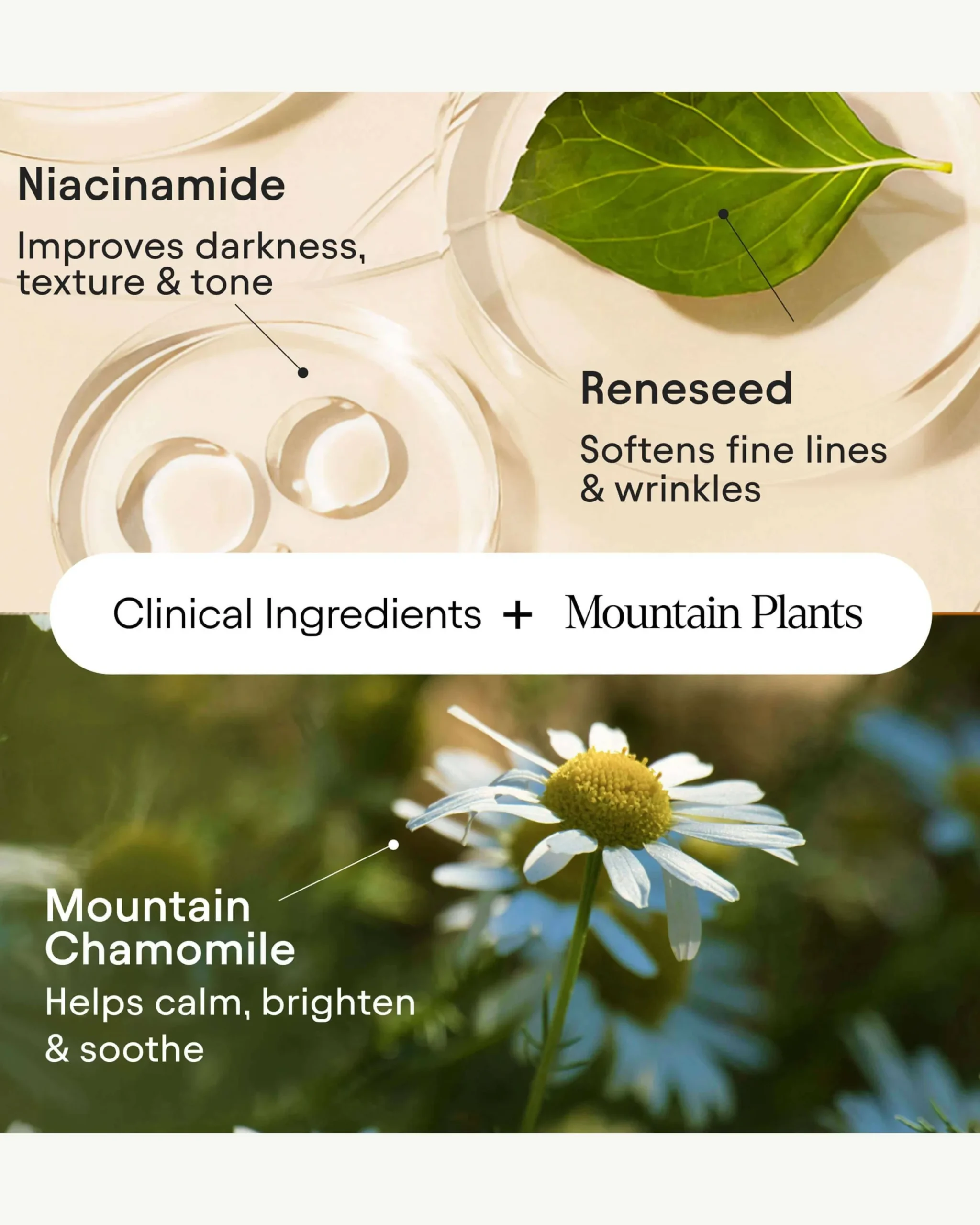 Instant Bright Eye with Peptides & Niacinamide