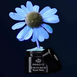 le Blue Balm