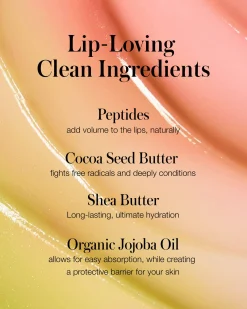 Liplights Cream Lip Gloss