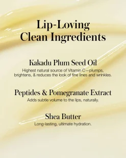 Lipnights Overnight Lip Mask
