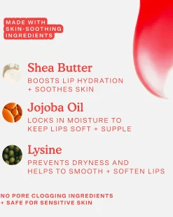 LipSoftie Hydrating Tinted Lip Treatment Balm
