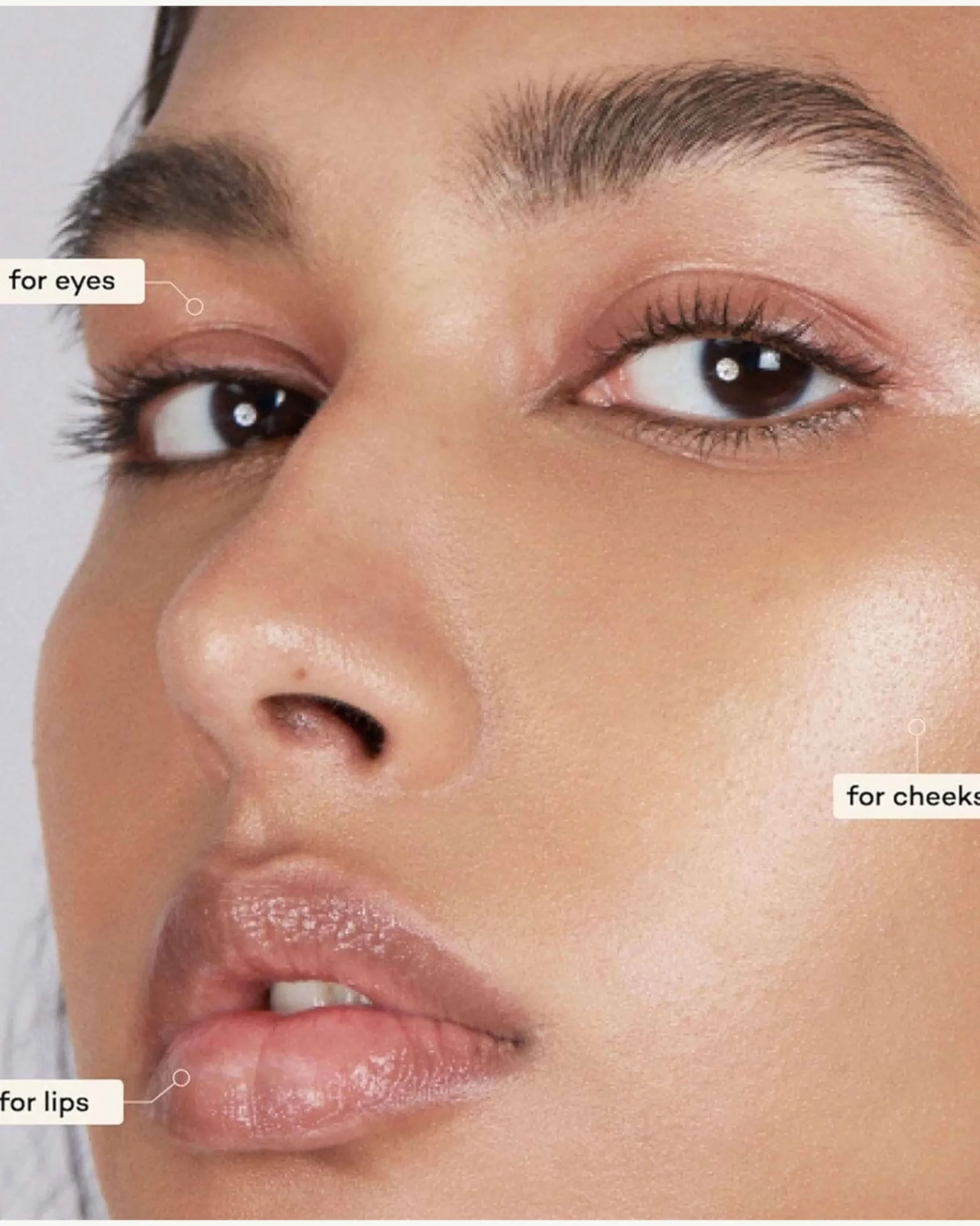 Lip-to-Lid Balmie Highlighter