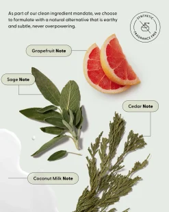 Live In Mist Leave-In Conditioner