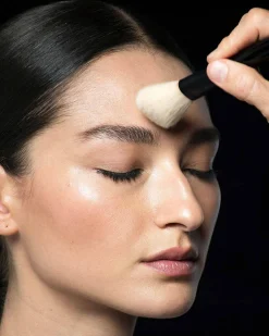 Luxury Powder Brush