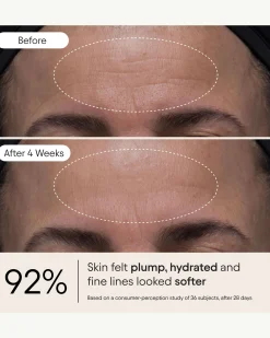 Melt Moisturizer