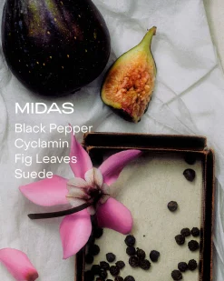 MIDAS: The Solid perfum