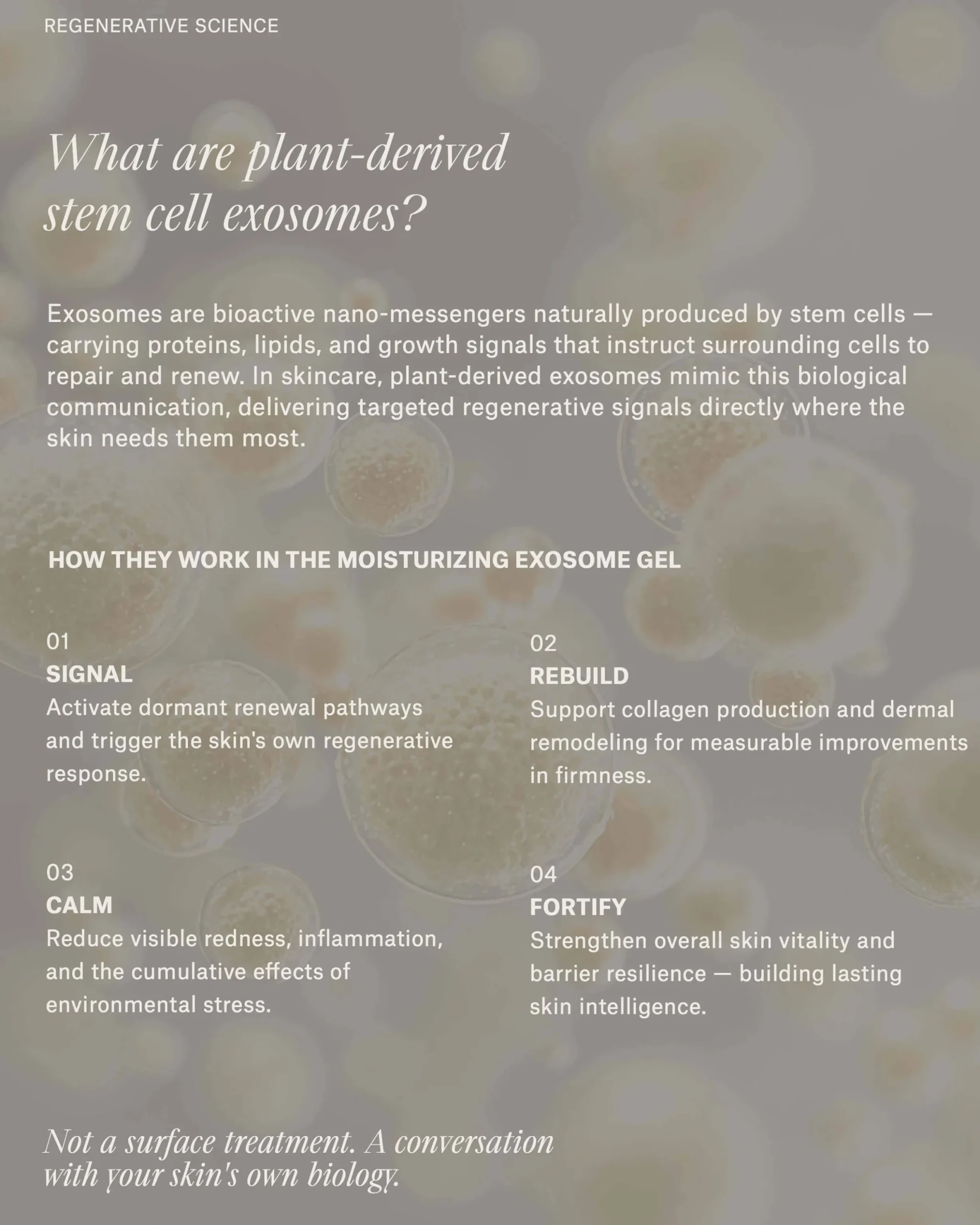 Moisturizing Exosome Advanced Regenerative Gel Moisturizer