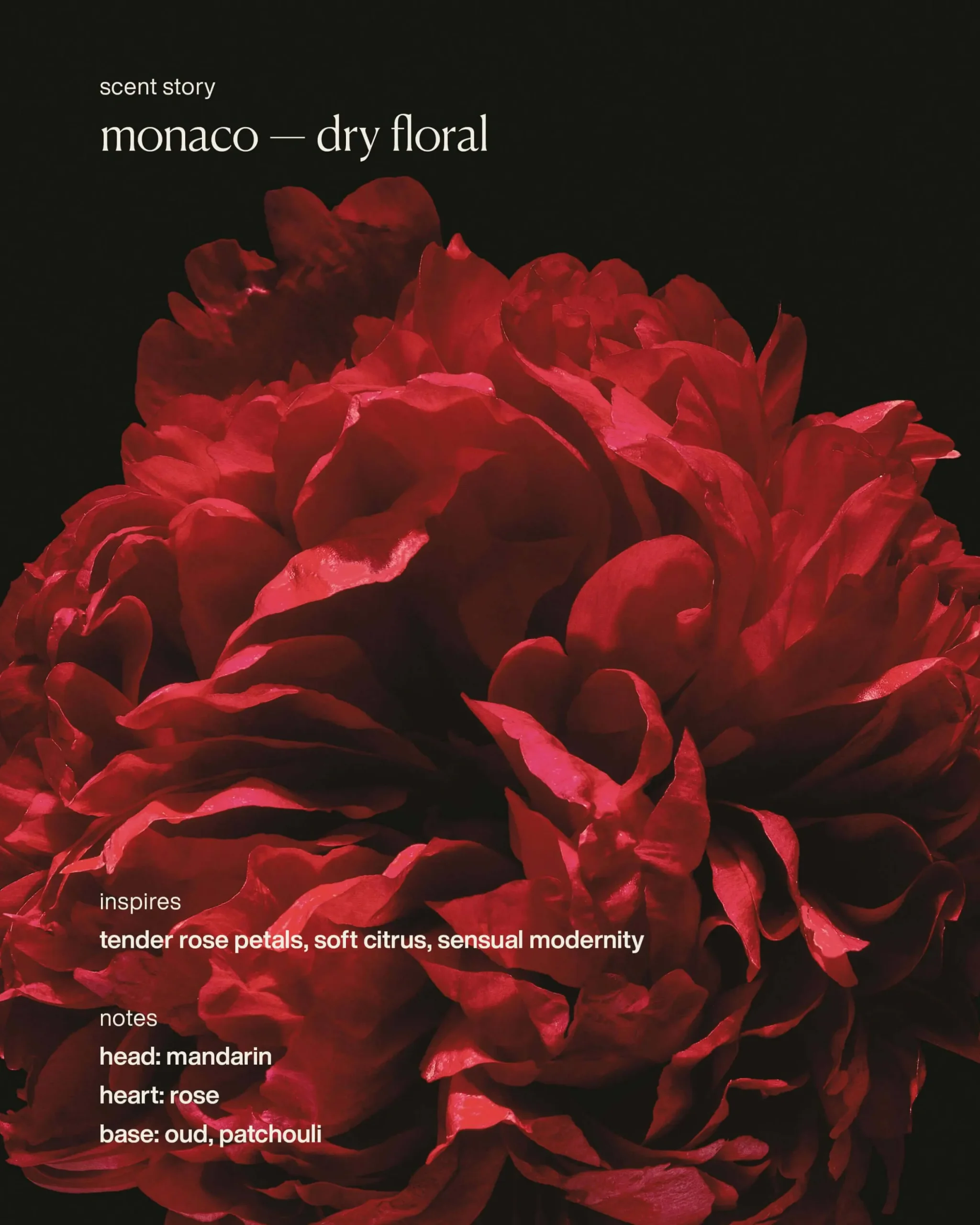 monaco - hydrating hand cream