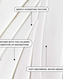Moonbounce 2% Bioretinol Irish Sea Moss Plumping Moisturizer