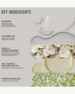 Natural Silver Hair Essentials - Travel Size Kit
