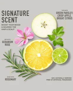 Natural Silver Hair Essentials - Travel Size Kit