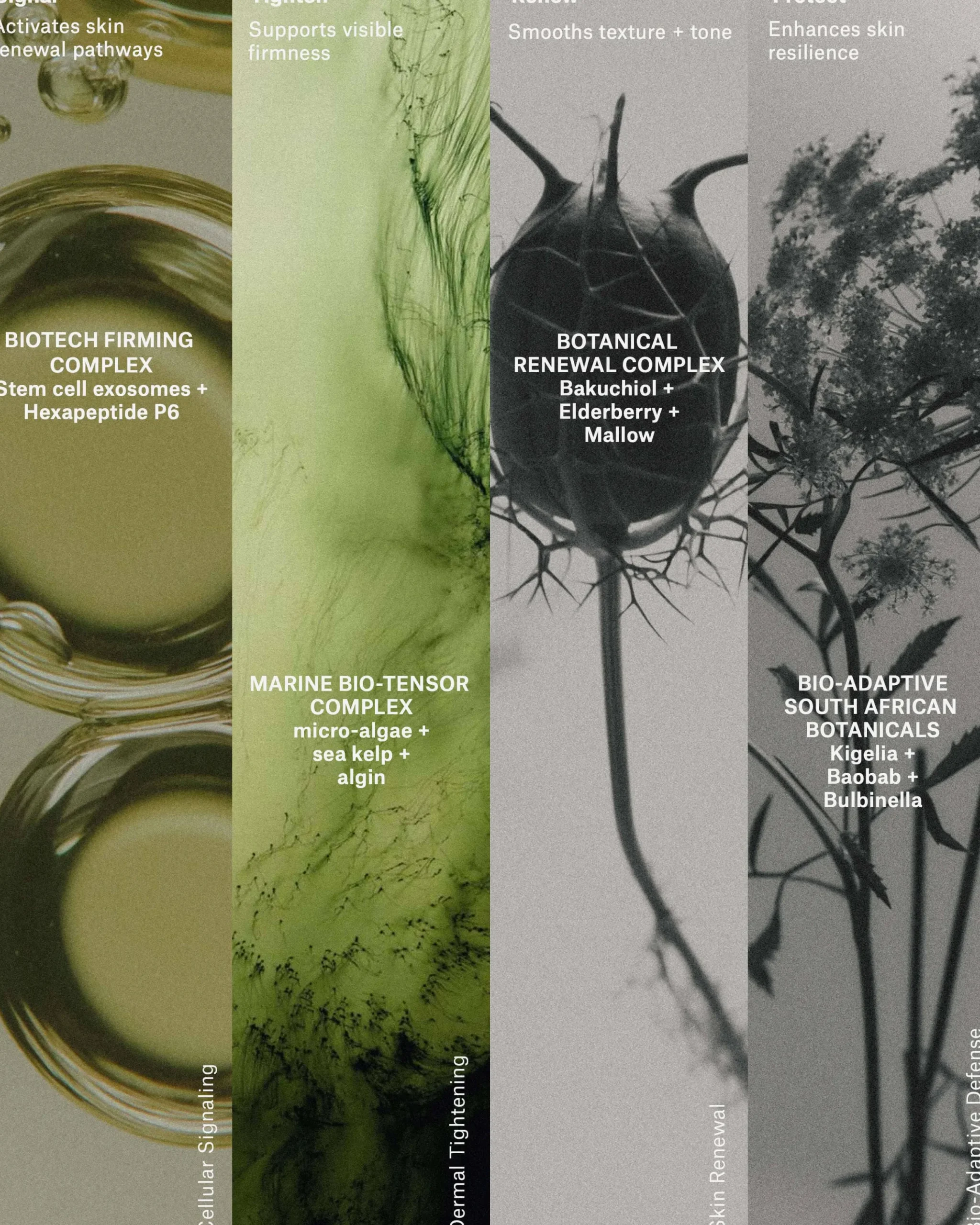 Neck & Decollete Treatment Emulsion