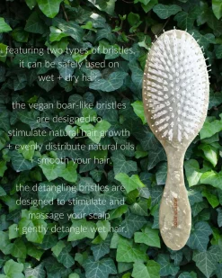 Perfect Daily Hair Brush