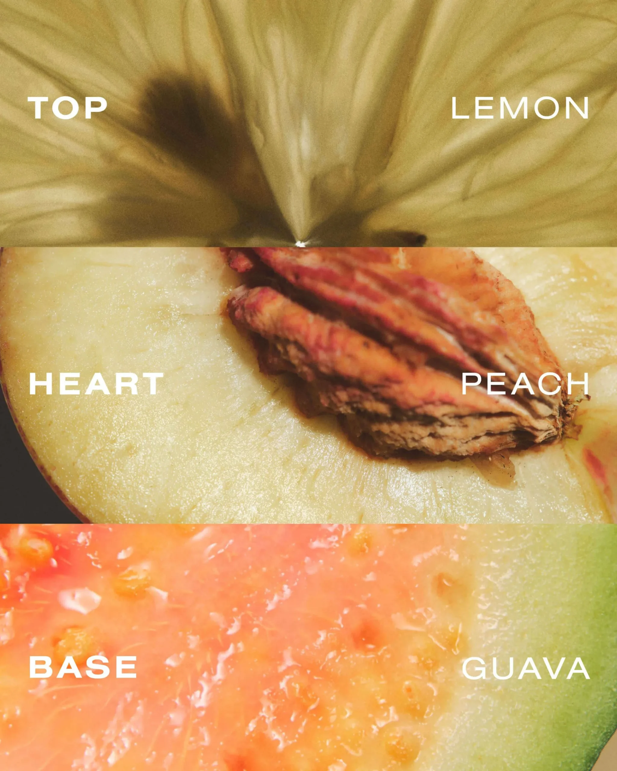 Perfume Mist de Guava