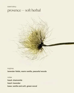 provence - nutrient rich body cleanser