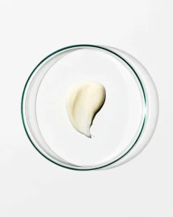 Regenerating Night Cream